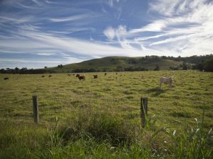 Goolmangar NSW Tourism Guide