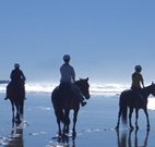 Whispering Brook - Travel Agents