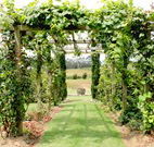 All Saints Bed and Breakfast - Tourism Guide