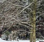 Bethany Manor Bed and Breakfast - Tourism Guide
