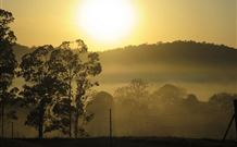 Hillcrest Mt Warning View Retreat - Tourism Guide 1