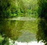 Mangrove Yoga Ashram - - Tourism Guide