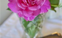 Newcastle's Bed & Breakfast - Tourism Guide 3