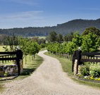 Pemberley Grange Hunter Valley Getaway - Travel Agents