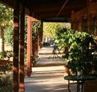 The Vineyard Motel - Tourism Guide