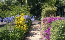 Wamberal Cottage - Tourism Guide 7