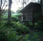 Mount Seaview Resort - Tourism Guide
