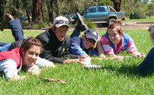 Murwillumbah  YHA Mount Warning - Tourism Guide 2