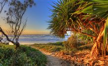 Andrea's Houses - Frangipani House - Tourism Guide 4