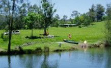 Melville NSW Tourism Guide