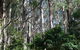 Berenbell Vineyard Retreat - thumb 6