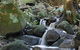 Berenbell Vineyard Retreat - thumb 7
