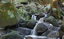 Berenbell Vineyard Retreat - Tourism Guide 7