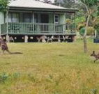 Bewong River Retreat - Travel Search