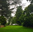 Brigalow Cottage - Tourism Guide