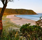 Ecoasis - Tourism Guide