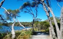Emma's Cottage Vineyard - Tourism Guide 5