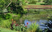 Lorsens On The River - Tourism Guide 5