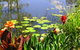 Lorsens On The River - thumb 6