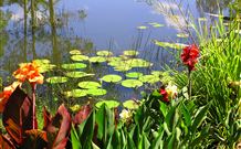 Lorsens On The River - Tourism Guide 6