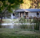Mt Clunie Cabins - Tourism Guide