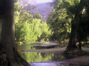 Wee Jasper Station Accommodation - Tourism Guide 6