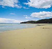 Bay Of Plenty Lodges - Travel Search