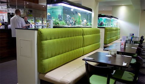 Carriers Arms Hotel Motel - Tourism Guide 5