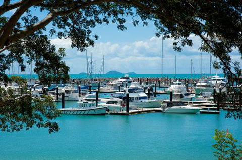 Shingley Beach Resort - Cruises Travel 5