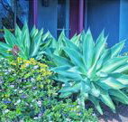 Retreat Homestead - Travel Agents