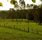 Stone Cottage Mittagong - Tourism Guide