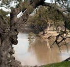 Valley View Cottage Hunter Valley - Tourism Guide