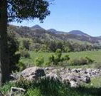 Woolshed Hill Estate - Tourism Guide
