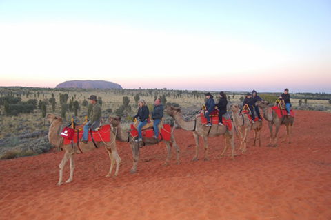 Ayers Rock - Outback Pioneer Lodge - Tourism Guide 1