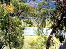 Accommodation Creek Cottages - Travel Agents 1
