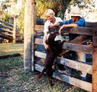Minmore Farmstay Bed and Breakfast - Travel Agents
