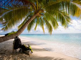Palm View Holiday Apartments - Tourism Guide 2