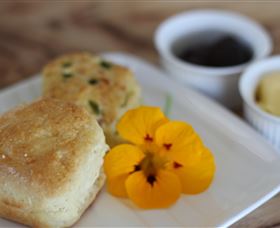 The Friendly Chat Bed And Breakfast And Self-contained Accommodation - Tourism Guide 3