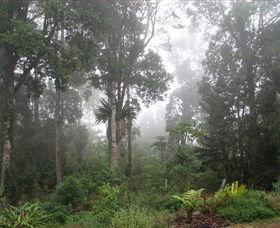 Arborlee Rainforest Retreat - Tourism Guide 0