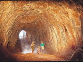 Undara Experience - Travel Agents 1