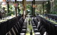 Cedar Creek Lodges At Thunderbird Park - thumb 3