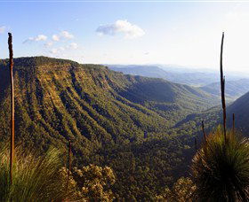 O'Reilly's Rainforest Retreat - Travel Agents 3