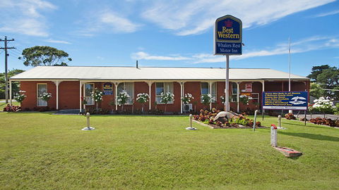BEST WESTERN Whalers Rest Motor Inn - Tourism Guide 5