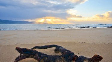 Best Western Apollo Bay Motel And Apartments - Tourism Guide 7