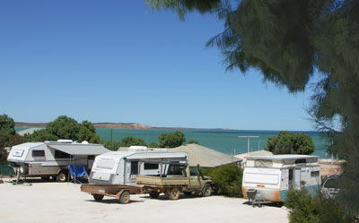 Blue Dolphin Caravan Park And Holiday Village - Tourism Guide 0