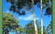 Kalgan River Chalets And Caravan Park - thumb 0