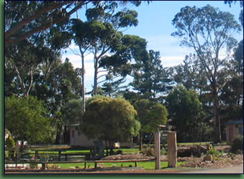 Kalgan River Chalets And Caravan Park - Tourism Guide 1