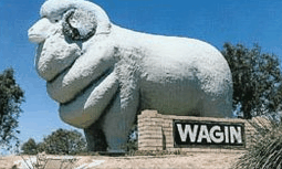 Wagin Motel - Tourism Guide 0