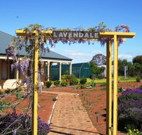 Lavendale Farmstay and Cottages - Tourism Guide