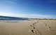 Kalbarri Palm Resort - thumb 4